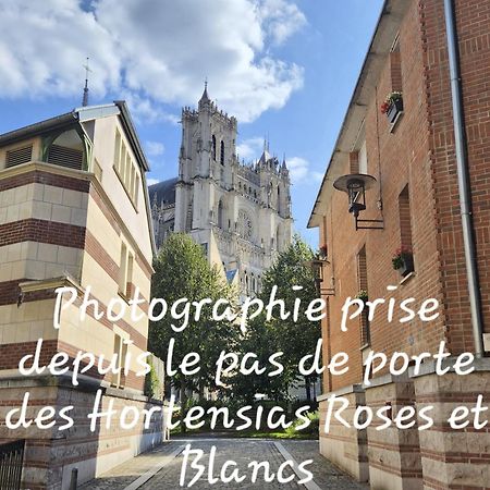 Les Hortensias Blancs Studio Amiens Bagian luar foto