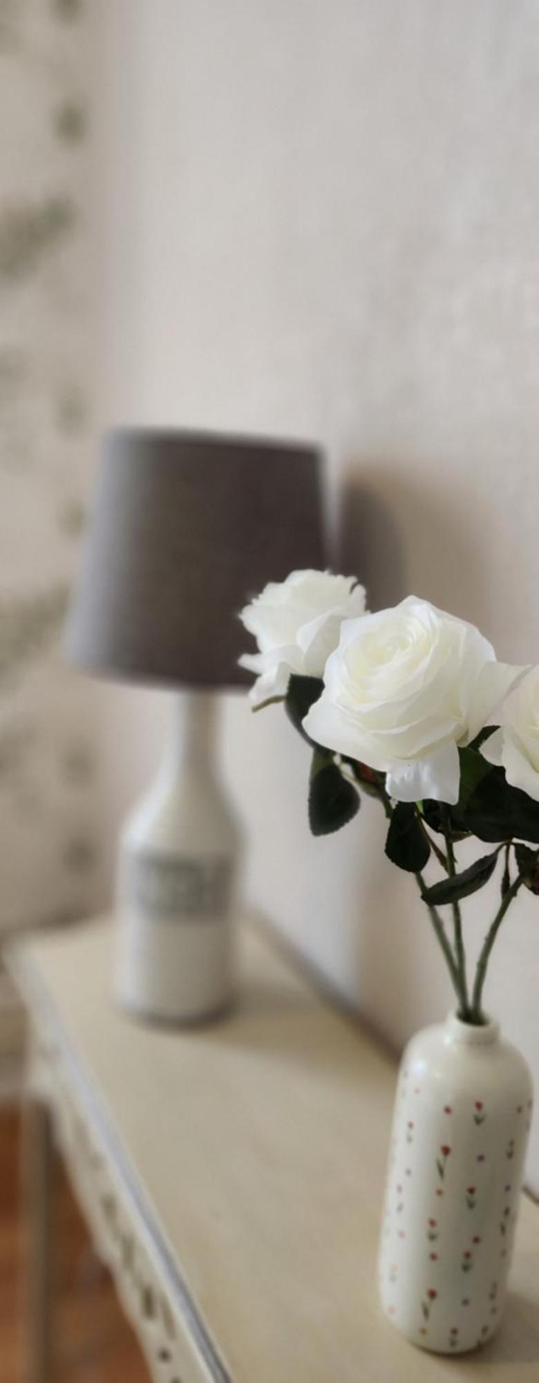 Les Hortensias Blancs Studio Amiens Bagian luar foto