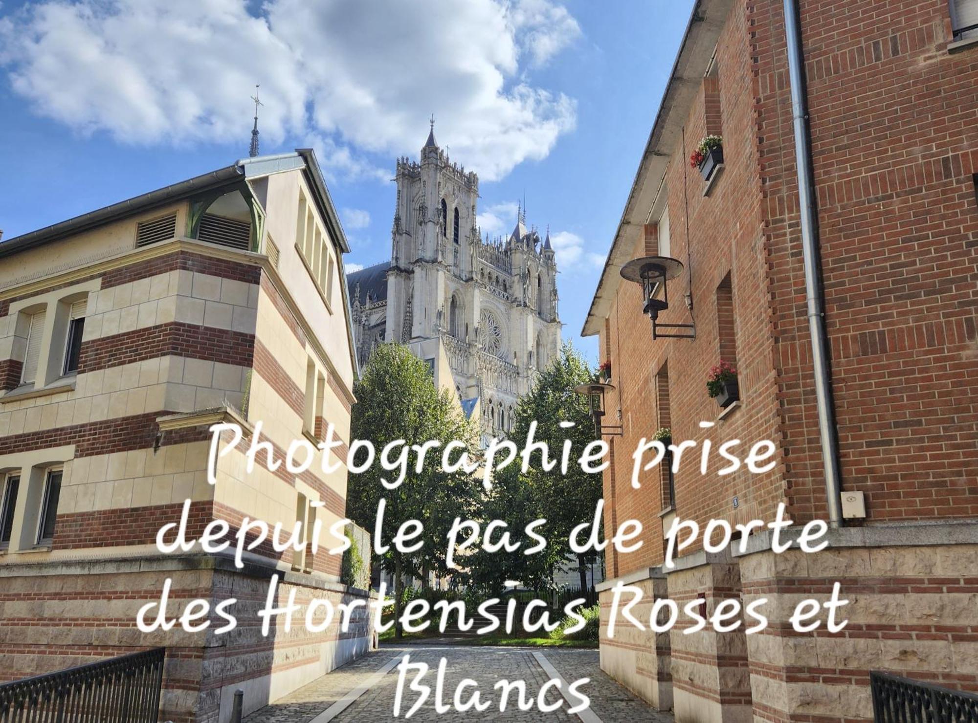 Les Hortensias Blancs Studio Amiens Bagian luar foto